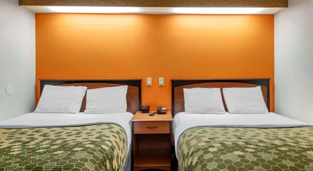 Четырёхместный номер Standard Econo Lodge North Academy