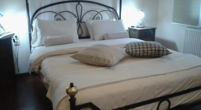 Hotel Dryalos