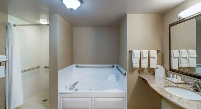 Люкс Hilton Garden Inn Augusta