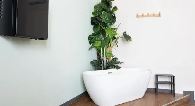 Номер Standard Holiday Lux Boutique Room
