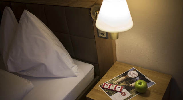 Mountain Plaza Hotel