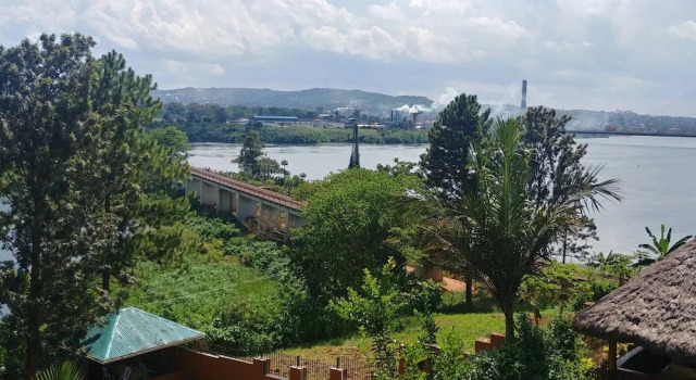 Номер Standard Hotel Paradise on the Nile