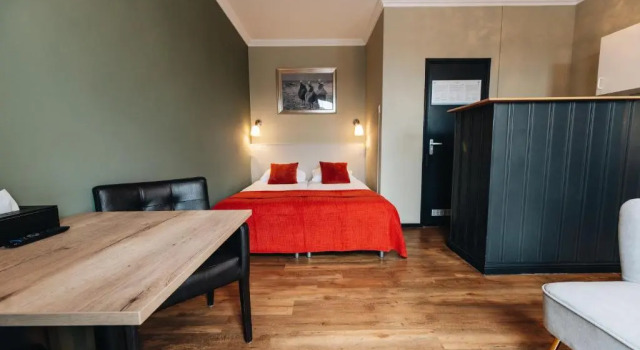Студия Standard Hotel Renesse