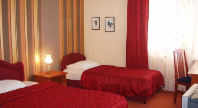 Camera doppia Standard con balcone Ani Hotel