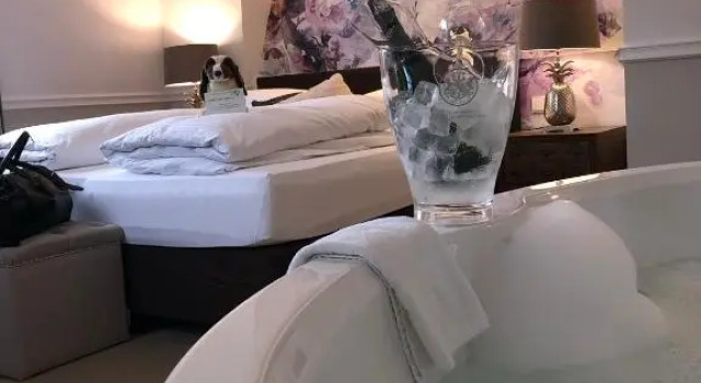 Номер Standard The Starnbergsee Hideaway