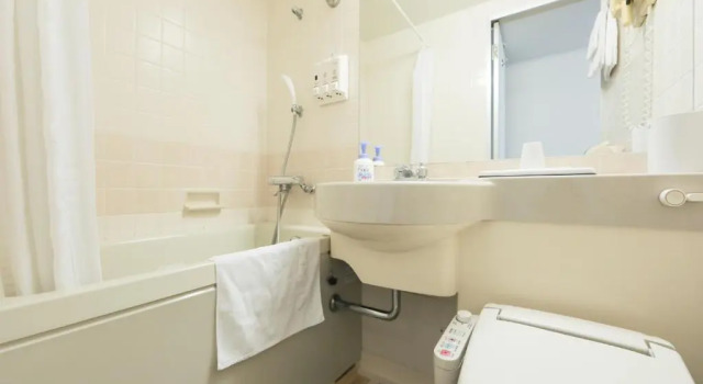Двухместный номер Standard Iga Ueno City Hotel