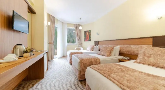 Трёхместный номер Standard с балконом Ridos Thermal Hotel & Spa