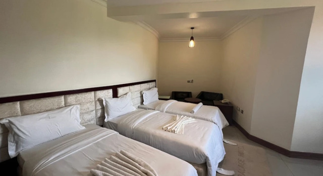 Трёхместный номер Standard с балконом Nejobugg Palace Hotel