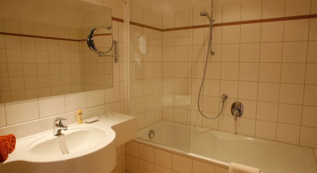 Номер Standard Hotel Haflingerhof
