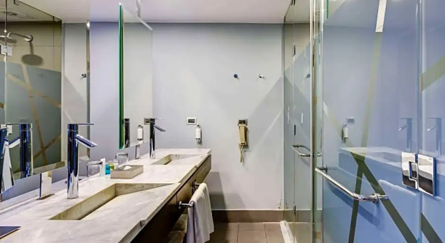 Двухместный полулюкс с видом на сад Wyndham Santiago Pettra