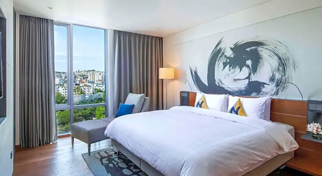 Двухместный номер Residence Premier c 1 комнатой Novotel Ambassador Seoul Dongdaemun Hotels & Residences