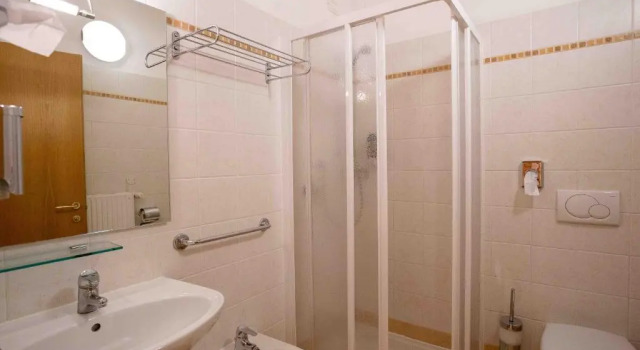 Одноместный номер Standard Hotel Andalo