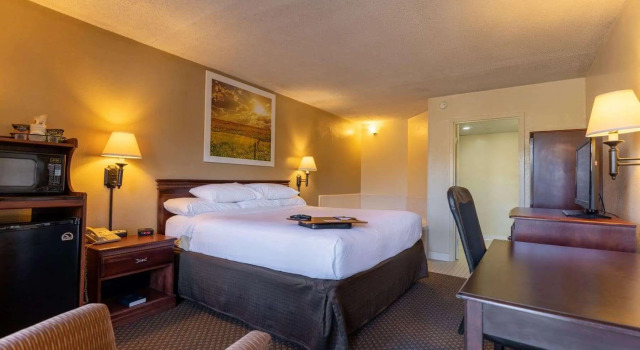 Doppel Suite Hotel Barkley