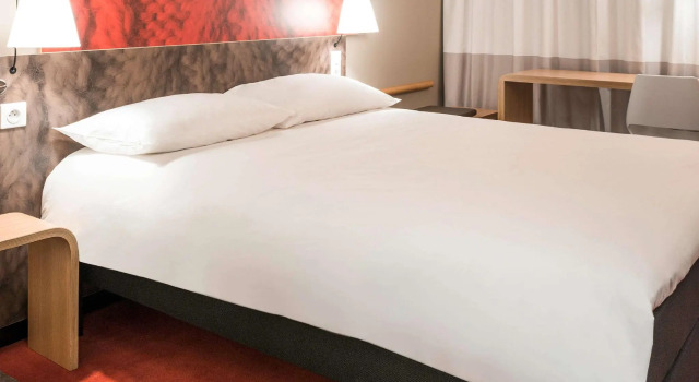 Двухместный номер Standard ibis Dijon Gare
