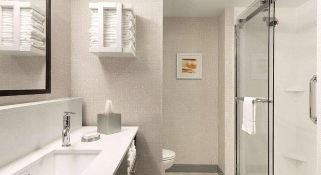 Двухместный номер Standard Hampton Inn & Suites St Charles Old Town Area, Mo