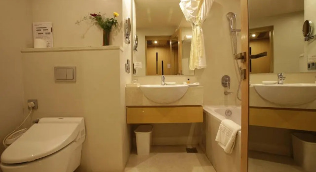 Двухместный номер Deluxe The Chancery Hotel