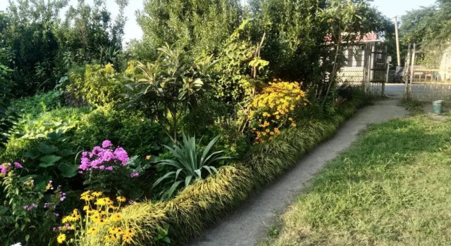 Номер Economy Roin Guest House