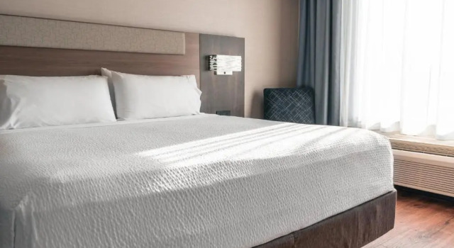Одноместный люкс Holiday Inn Express Kingston Central by IHG