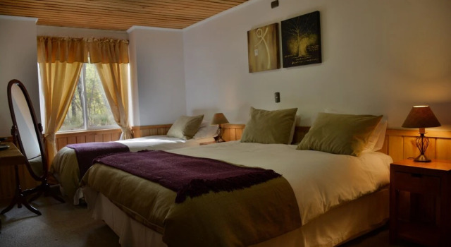 Двухместный номер Standard Hotel y Cabañas Borde Andino