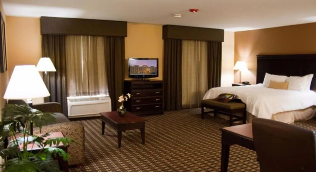 Одноместный номер Standard Hampton Inn & Suites Pine Bluff