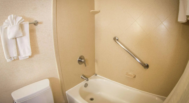 Двухместный полулюкс Wyndham Midland Downtown