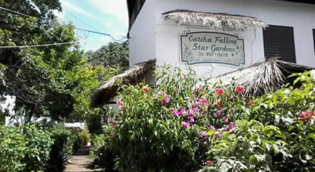 LTU Garden, Rezervovat Hotel Negril Westmoreland