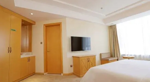Люкс Deluxe Vienna Hotel (Shenyang Central Street)
