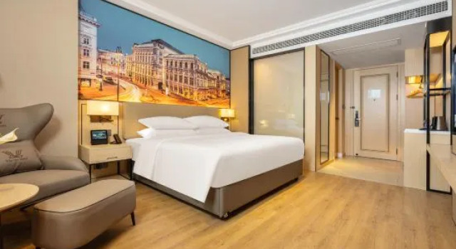 Люкс Superior Vienna International Hotel (Luzhou Lumen Avenue)