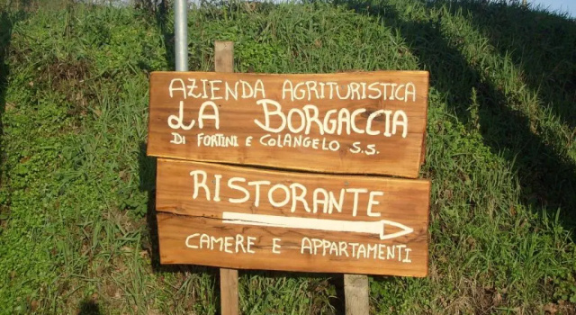 Номер Standard Farm stay Agriturismo la Borgaccia