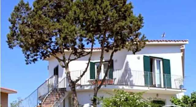 il Ginepro di Stintino