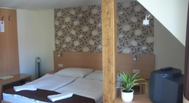 Номер Standard Hotel Viktória
