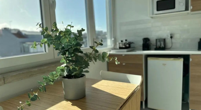 Номер Standard Studio 59 Lisboa