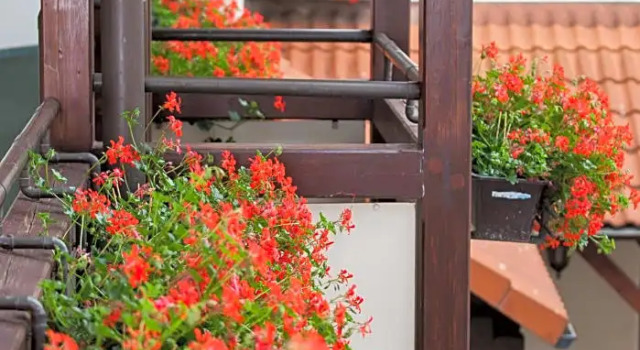 Апартаменты REGIOHOTEL Wolmirstedter Hof