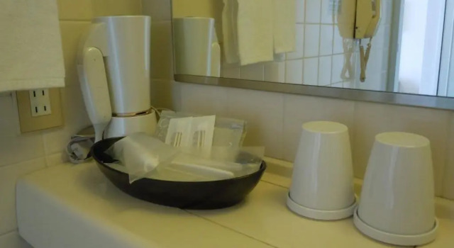 Двухместный номер Standard Aizuwakamatsu Washington Hotel