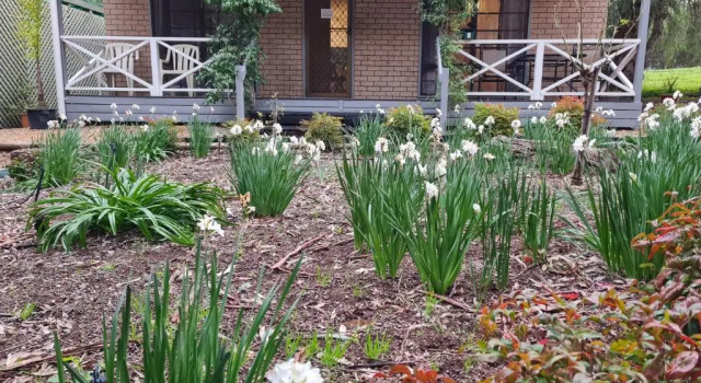 Коттедж с 2 комнатами Barossa Country Cottages