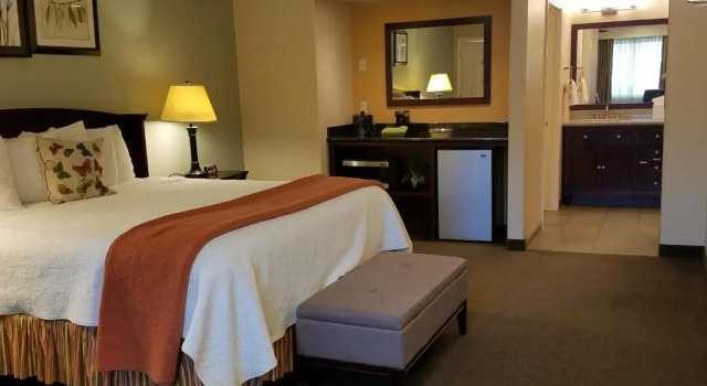 Номер Deluxe Redwood Hyperion Suites