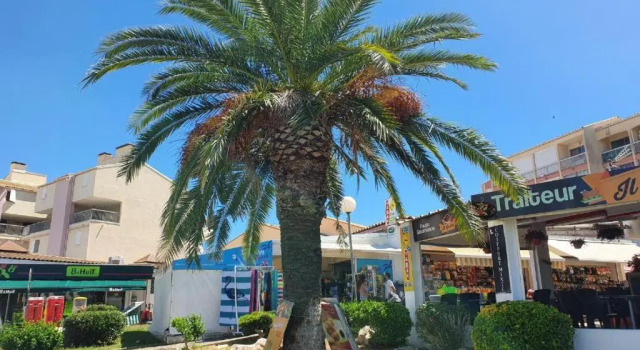 Cosy Studio 4 Personnes, Proche Mer Et Commerce 0 Chambre, Rezerwuj Hotel Hotele w Camargue z parkingiem, Parking