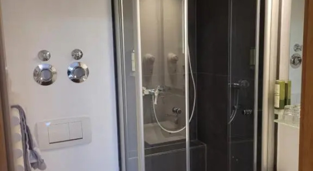 Двухместный номер Standard с балконом Bodensee Hotel Storchen