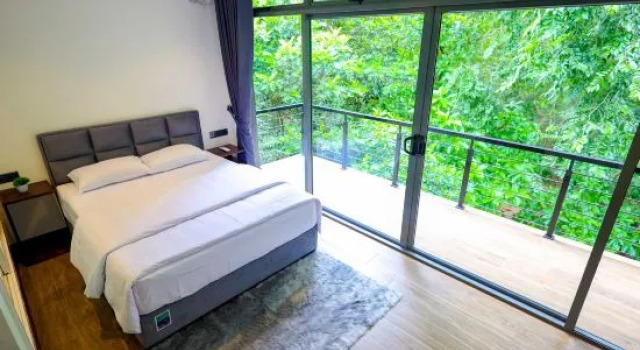 Номер Deluxe Forest Face Lodge