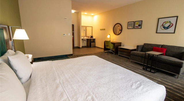 Двухместный люкс Hampton Inn & Suites College Station
