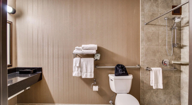 Двухместный номер Standard Clarion Hotel Convention Center