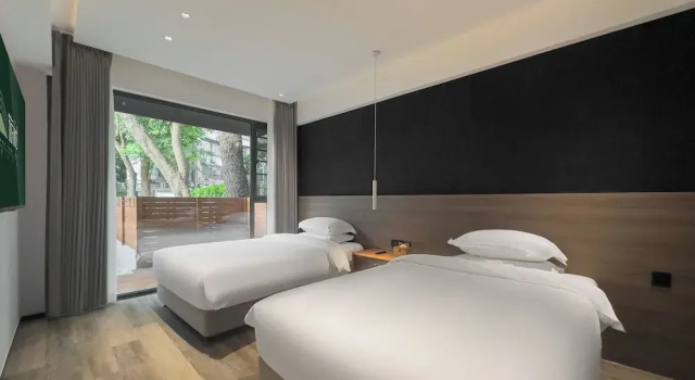 Номер Business Travel Tree Inn