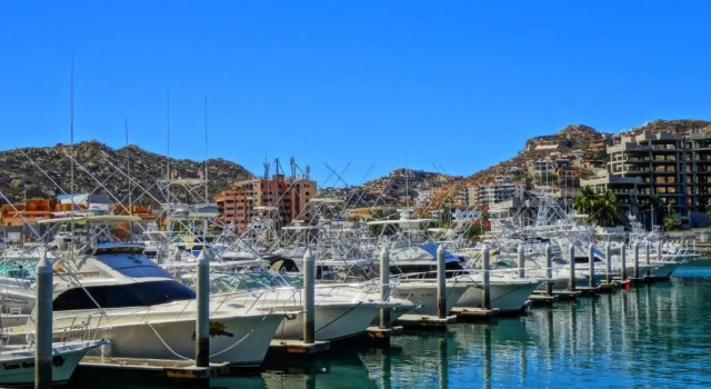 Люкс Enchanting Specious 2BR With Terrace - Cabo