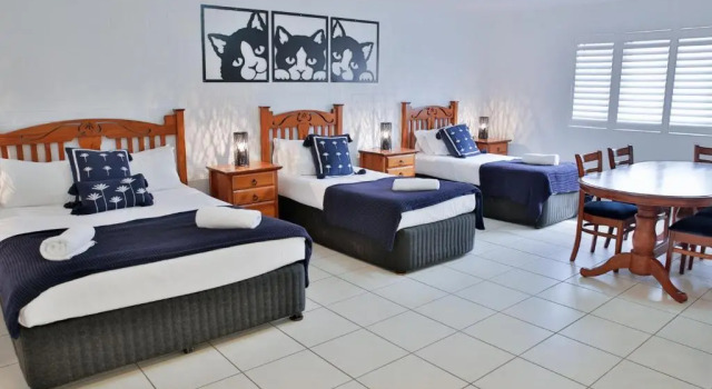 Шестиместный семейный номер Standard Central Park Motel