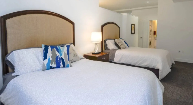 Good Value 1Br Apt | Close To Convention Center