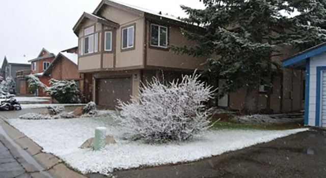 Коттедж 1673 Venice Drive 4 Bedroom Home