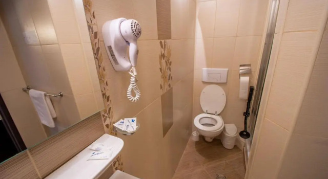 Двухместный номер Standard Pensiunea Hermannstadt