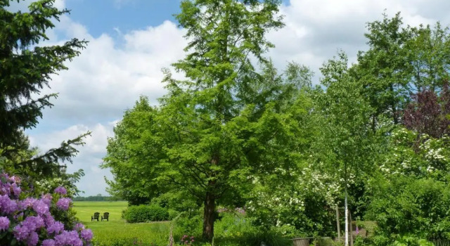 Gastenverblijf Klein Eden, Book Apartment Hotels in Friesland with Breakfast, Breakfasts
