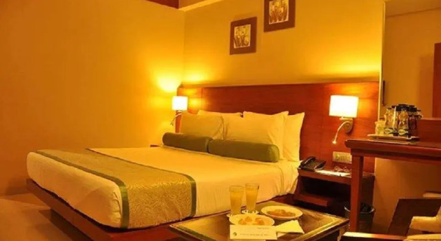 Номер Executive Hotel Green Olive