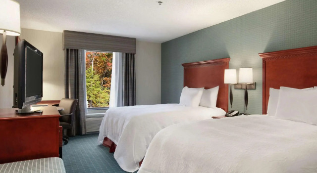 Четырёхместный номер Standard Hampton Inn and Suites Hartford/Farmington